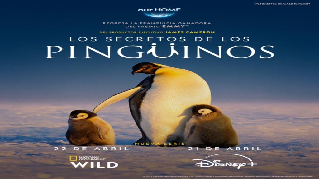 مسلسل Secrets of the Penguins الموسم الاول الحلقة 2 مترجمة