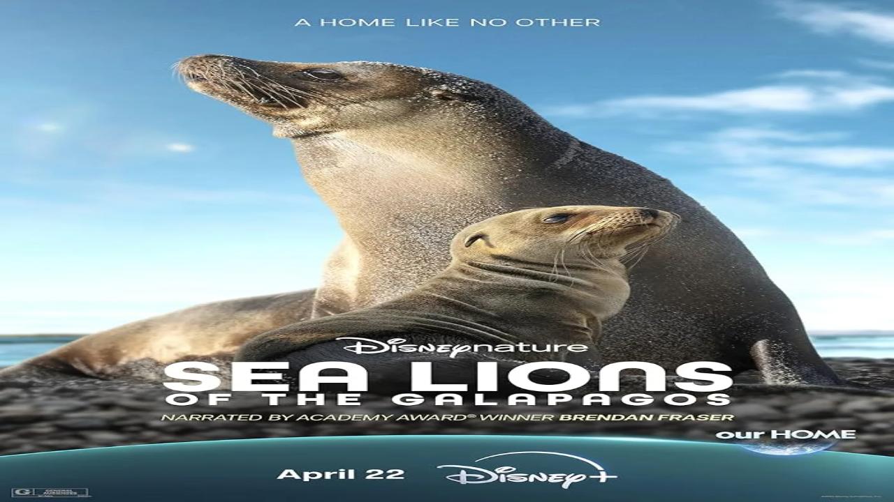فيلم Sea Lions of the Galapagos 2025 مترجم