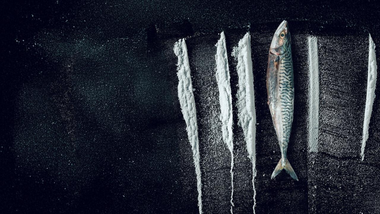 فيلم Turn of the Tide The Surreal Story of Rabo de Peixe 2025 مترجم