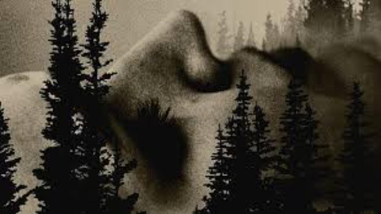 فيلم To Kill a Wolf 2024 مترجم